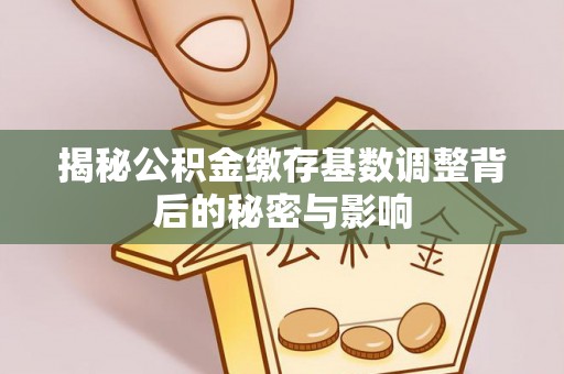 郸城揭秘公积金缴存基数调整背后的秘密与影响