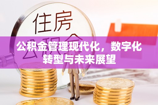 郸城公积金管理现代化，数字化转型与未来展望