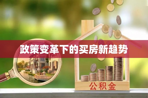 郸城政策变革下的买房新趋势