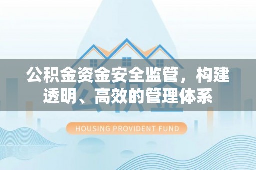 郸城公积金资金安全监管，构建透明、高效的管理体系