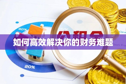 郸城如何高效解决你的财务难题